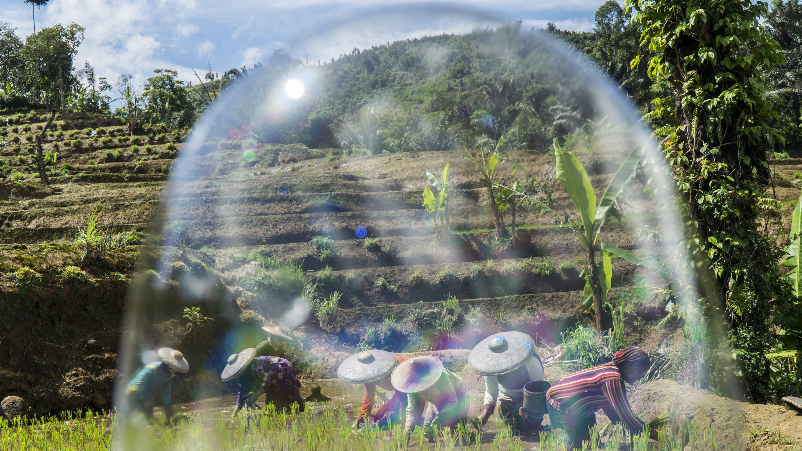 Selected image from Sawen Lembur (2021) by Arum Dayu with Yoyo Yogasmana.